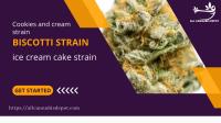 Cookies and cream strain image 1